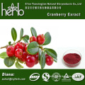 Concentrate fruit juice powder cranberry juice powder cranberry powder